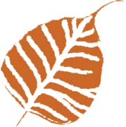 leaf8