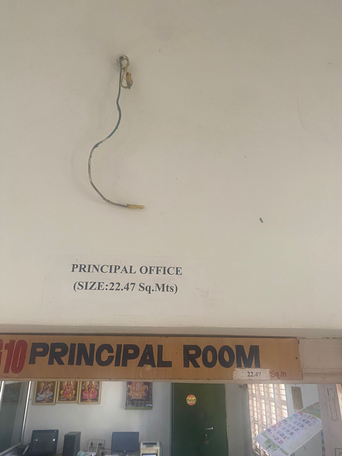 p-room